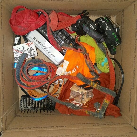 Surprise pet toy, clothing or accessory - Picture 8 of 9